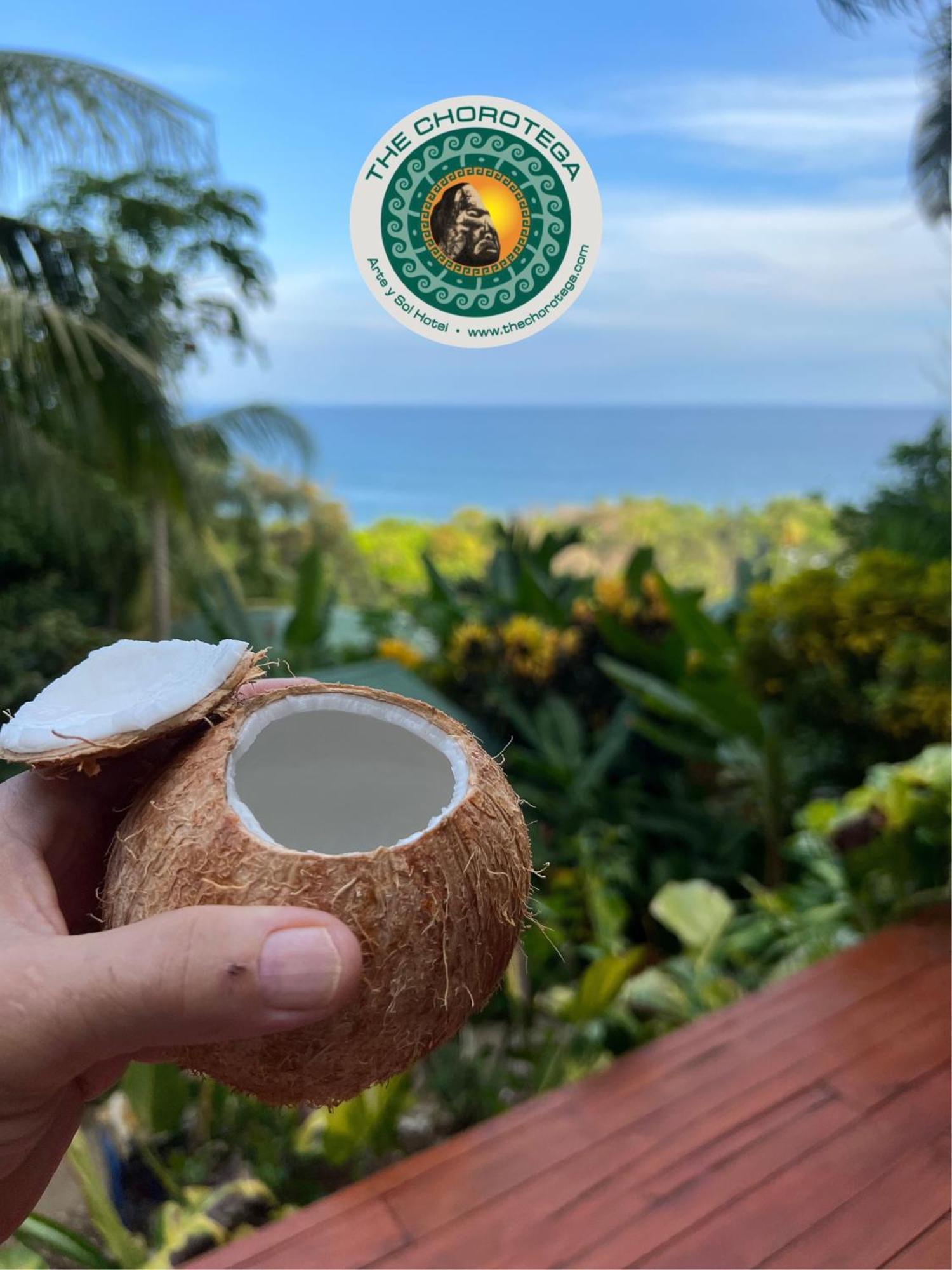 The Chorotega Hotel, Montezuma Монтесума Екстериор снимка